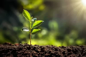 Partnership with Impact Hero: A Step Toward Environmental Responsibility