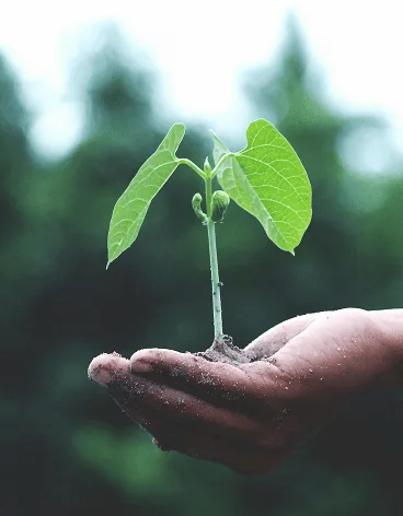 Sustainability initiative