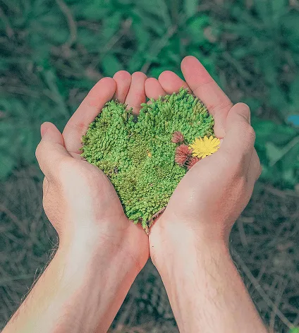Sustainability initiative