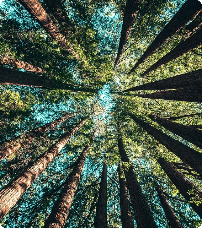Sustainability campaign visual